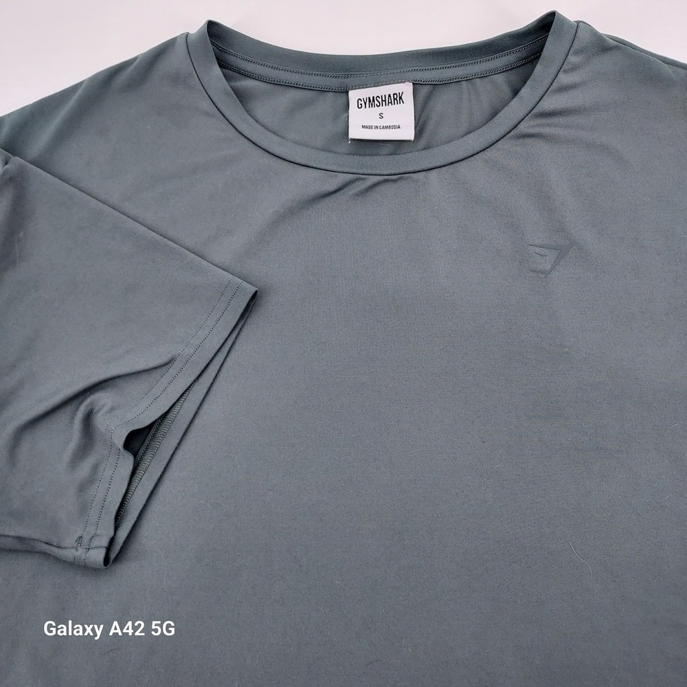 Gymshark Whitney Simmons Alive Graphic T-Shirt Eucalyptus Blue Gray GLST5559 S